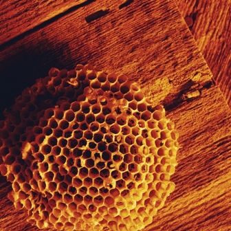 Воск пчелиный Holzwachs (500 мл)