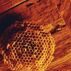 Воск пчелиный Holzwachs (500 мл)