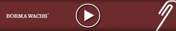 cat_video
